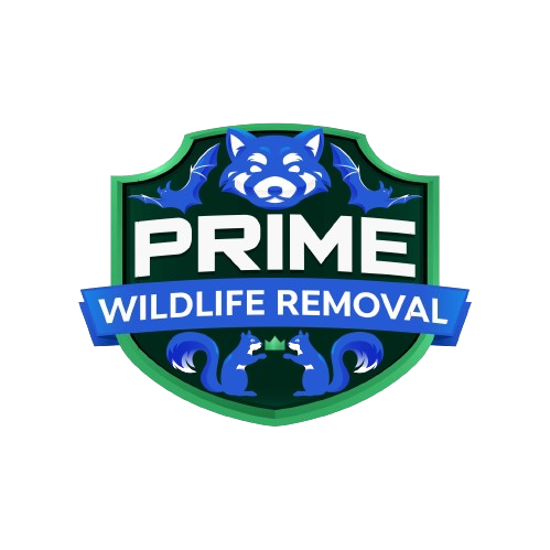 Animal Removal Bridgeport Township
